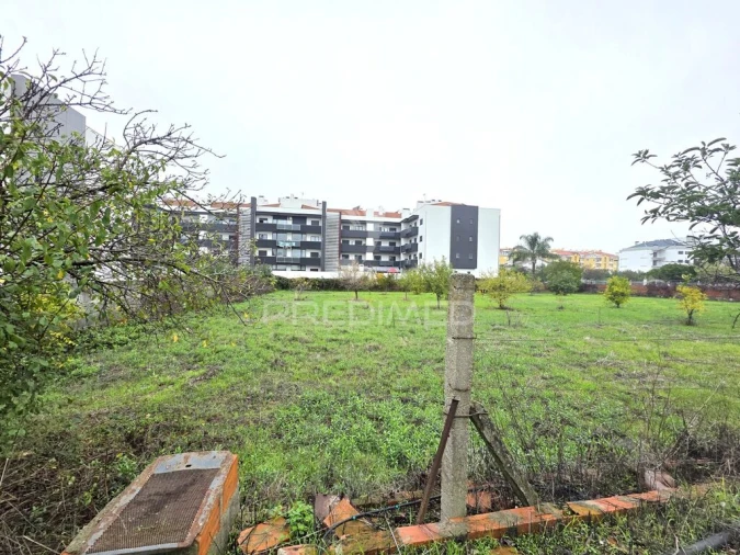 Terreno para Venda em Nossa Sra de Fatima Foto 13