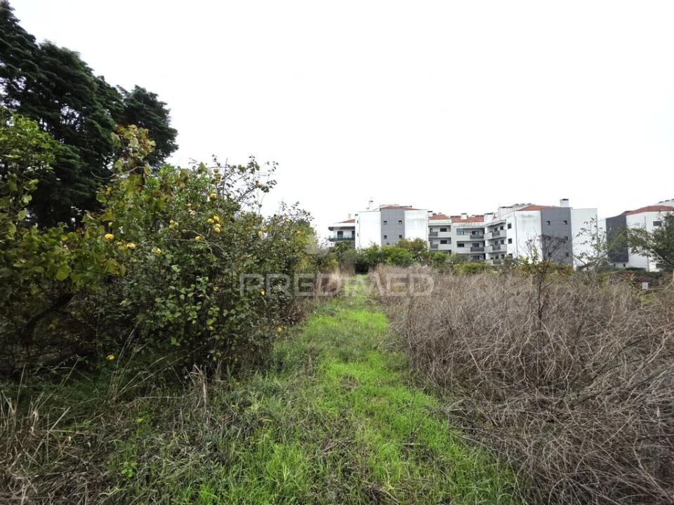 Terreno para Venda em Nossa Sra de Fatima Foto 17