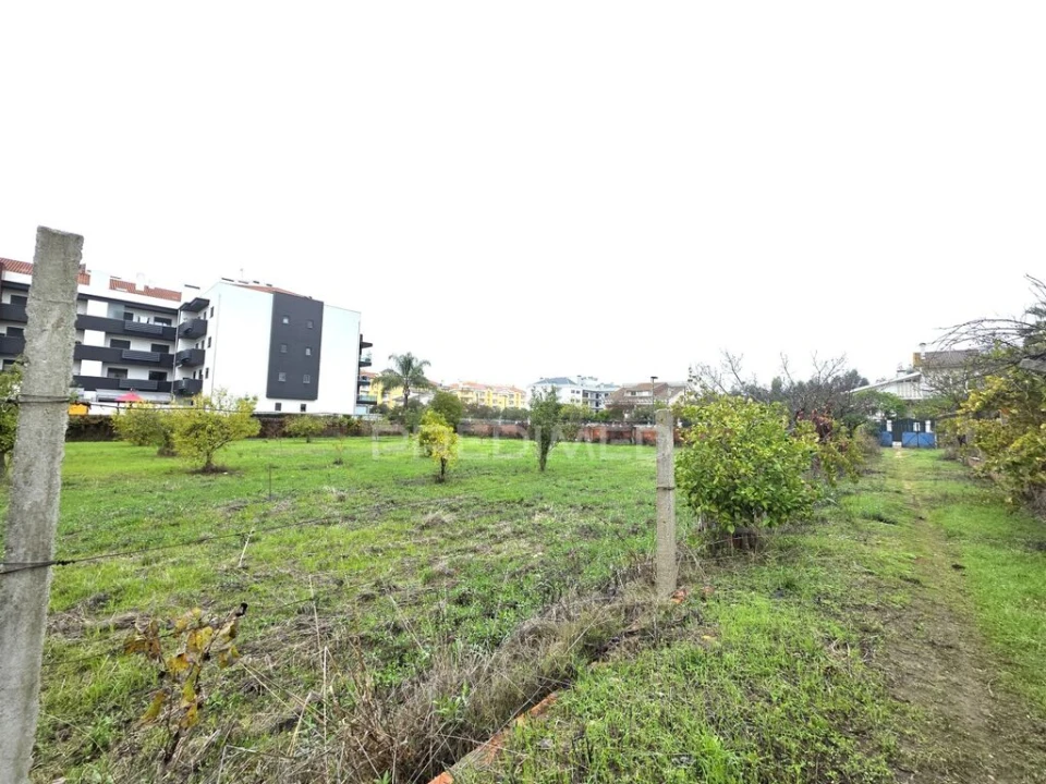 Terreno para Venda em Nossa Sra de Fatima Foto 14