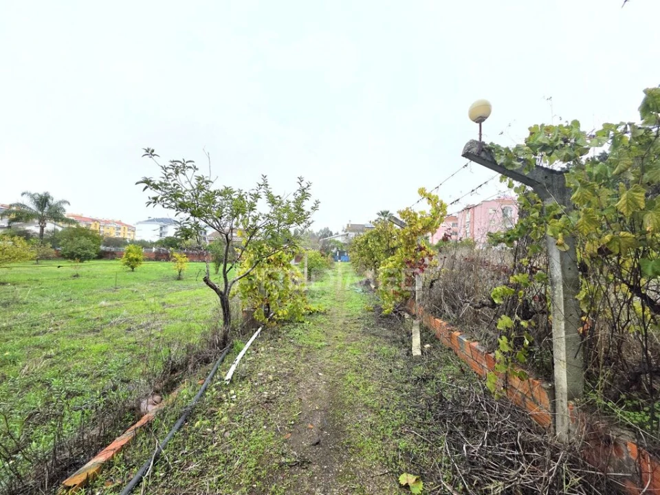 Terreno para Venda em Nossa Sra de Fatima Foto 15