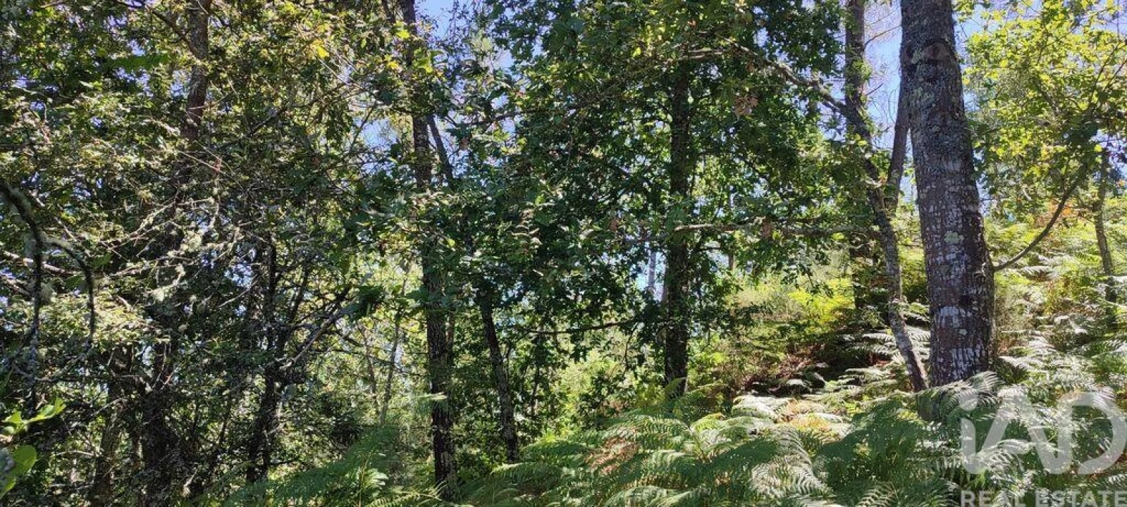 Moradia para Venda em Vila Maior Foto 4