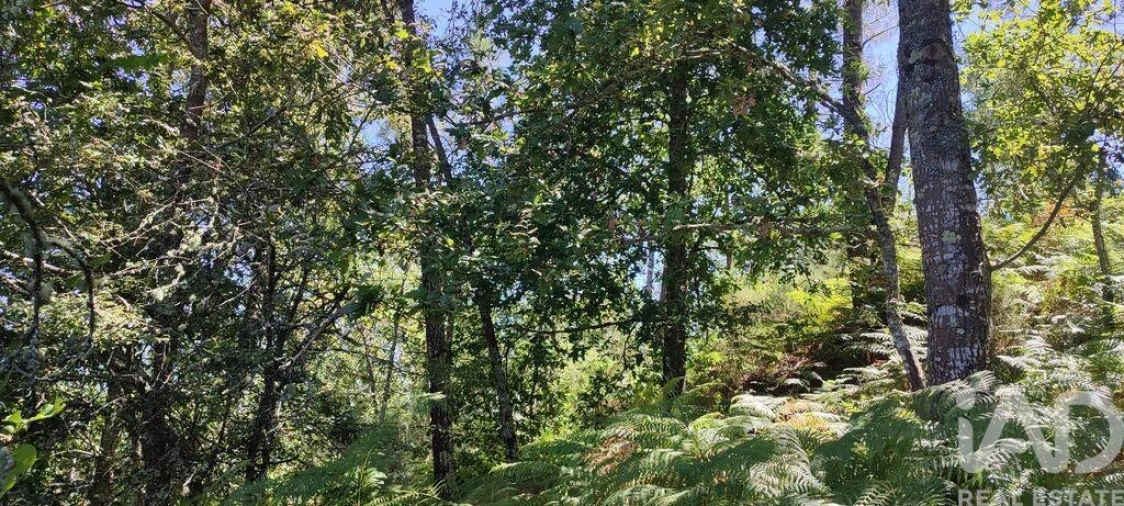 Moradia para Venda em Vila Maior Foto 4