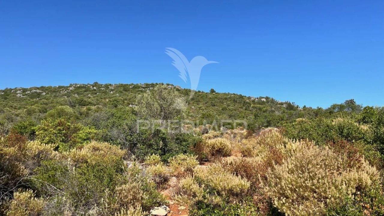 Terreno para Venda em Moncarapacho e Fuseta Foto 5