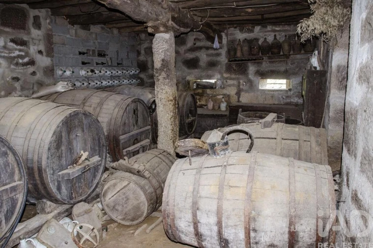 Quinta T4 para Venda em Vila Maior Foto 32