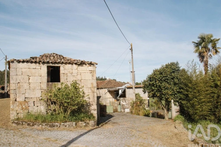 Quinta T4 para Venda em Vila Maior Foto 5