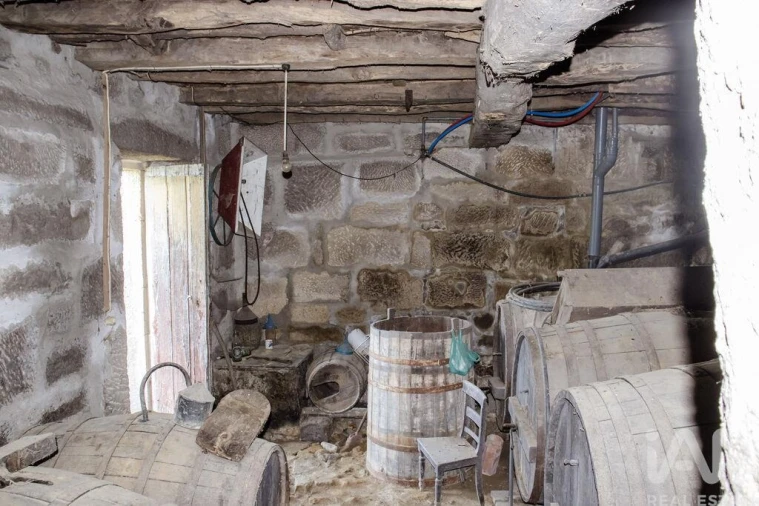 Quinta T4 para Venda em Vila Maior Foto 33