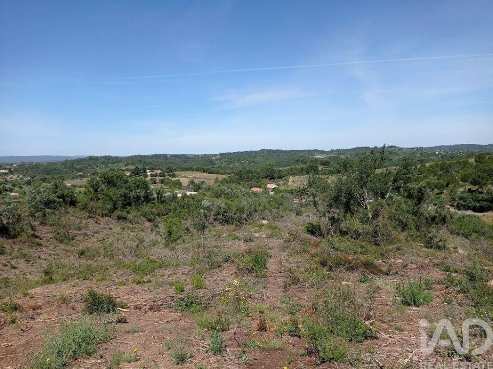 Terreno para Venda em Madalena e Beselga Foto 8