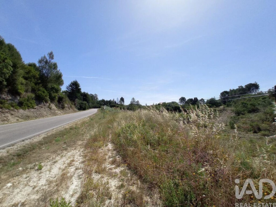 Terreno para Venda em Madalena e Beselga Foto 26
