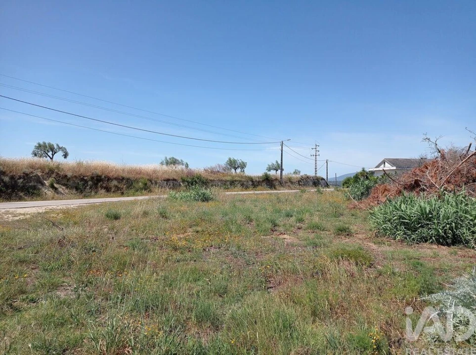 Terreno para Venda em Madalena e Beselga Foto 20
