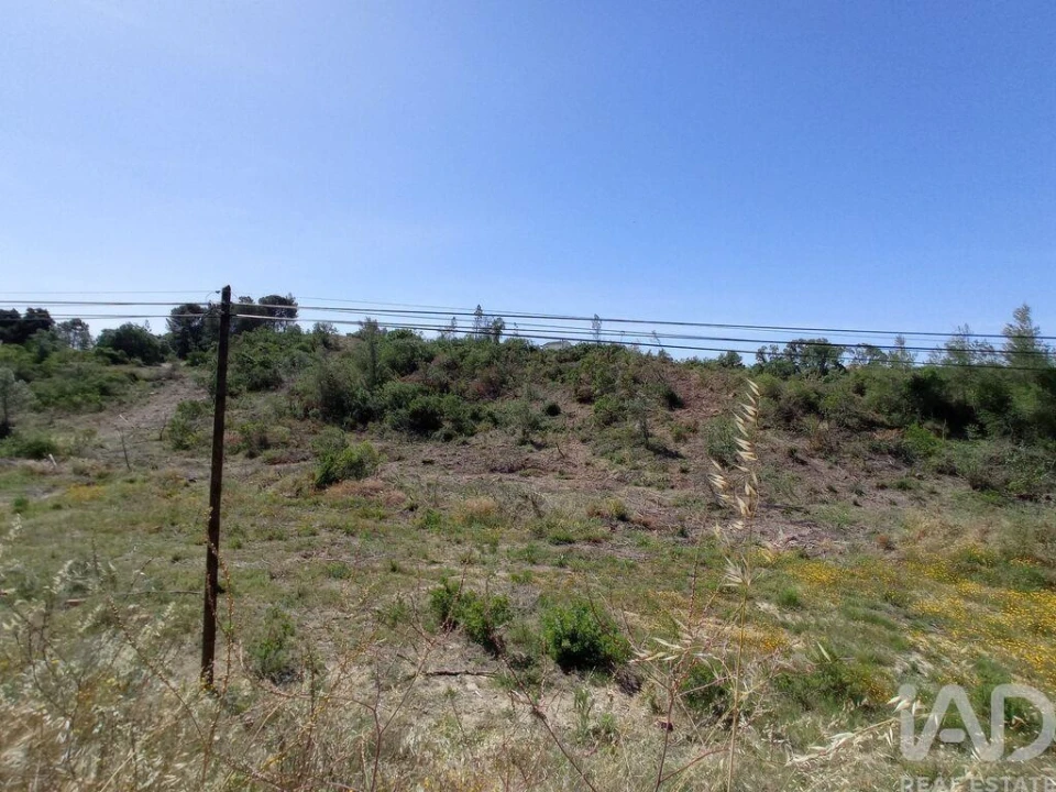 Terreno para Venda em Madalena e Beselga Foto 13