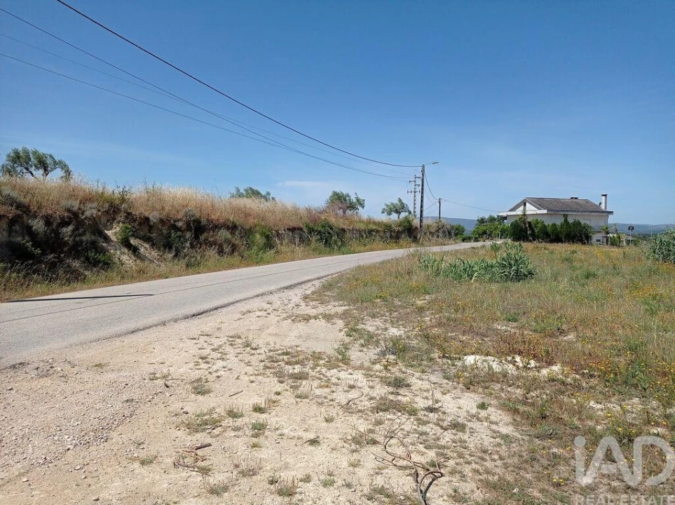Terreno para Venda em Madalena e Beselga Foto 2