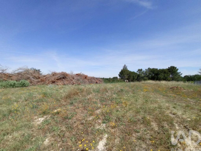 Terreno para Venda em Madalena e Beselga Foto 9