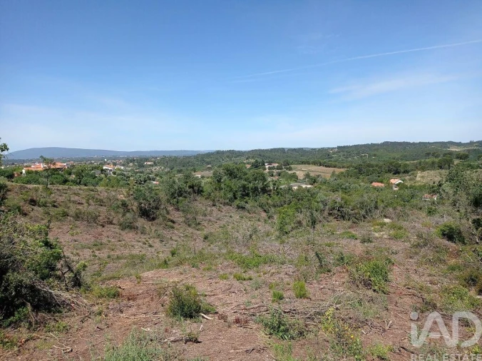 Terreno para Venda em Madalena e Beselga Foto 5