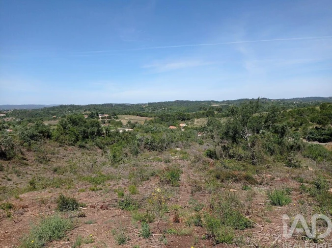 Terreno para Venda em Madalena e Beselga Foto 8