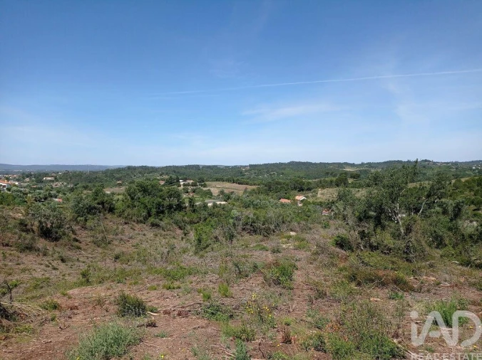 Terreno para Venda em Madalena e Beselga Foto 7