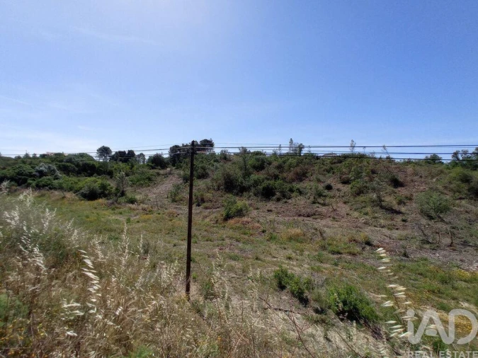 Terreno para Venda em Madalena e Beselga Foto 11