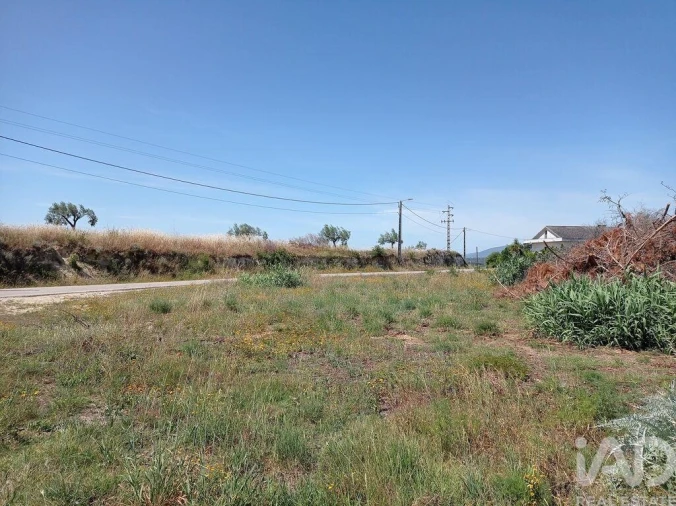 Terreno para Venda em Madalena e Beselga Foto 20