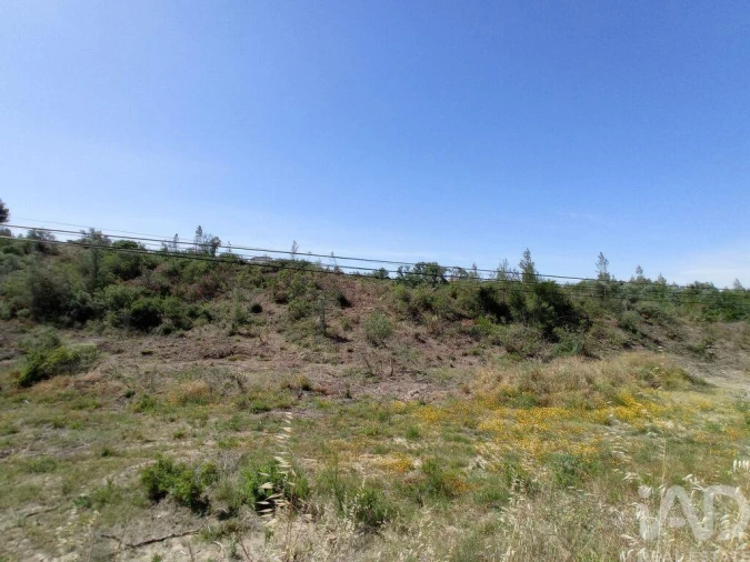 Terreno para Venda em Madalena e Beselga Foto 12