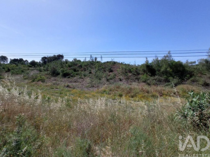 Terreno para Venda em Madalena e Beselga Foto 15