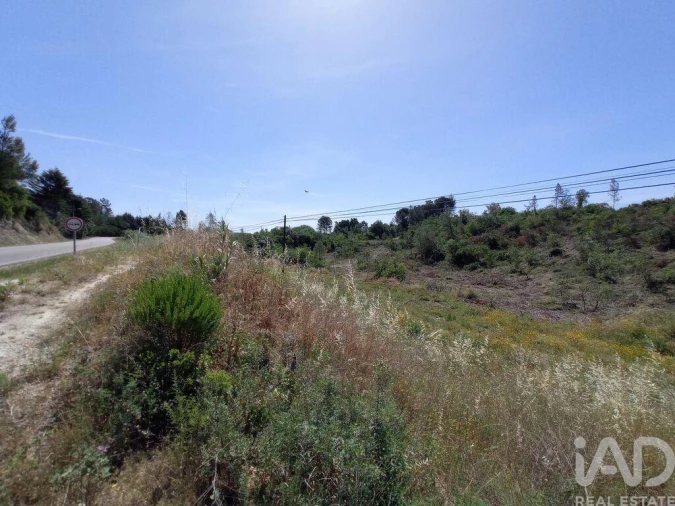Terreno para Venda em Madalena e Beselga Foto 16