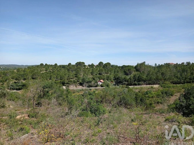 Terreno para Venda em Madalena e Beselga Foto 6