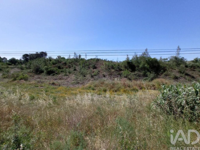 Terreno para Venda em Madalena e Beselga Foto 14