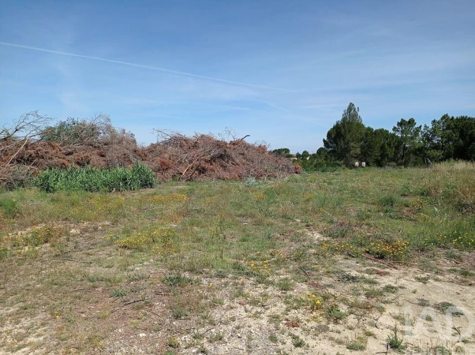 Terreno para Venda em Madalena e Beselga Foto 3