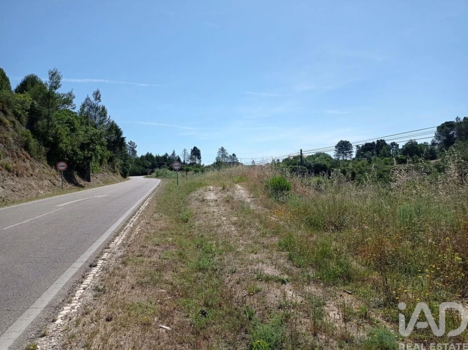 Terreno para Venda em Madalena e Beselga Foto 17