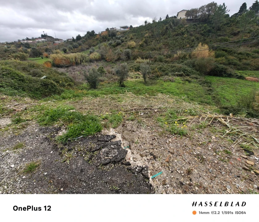 Terreno para Venda em Almalagues Foto 3