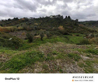 Terreno para Venda em Almalagues