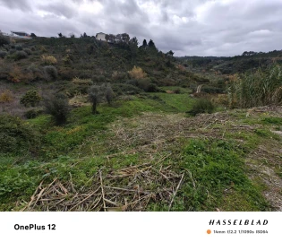 Terreno para Venda em Almalagues