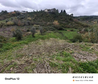 Terreno para Venda em Almalagues