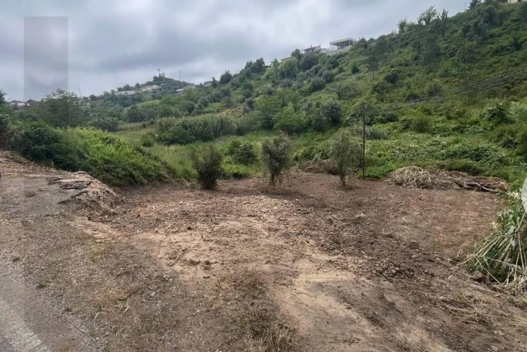 Terreno para Venda em Almalagues Foto 3