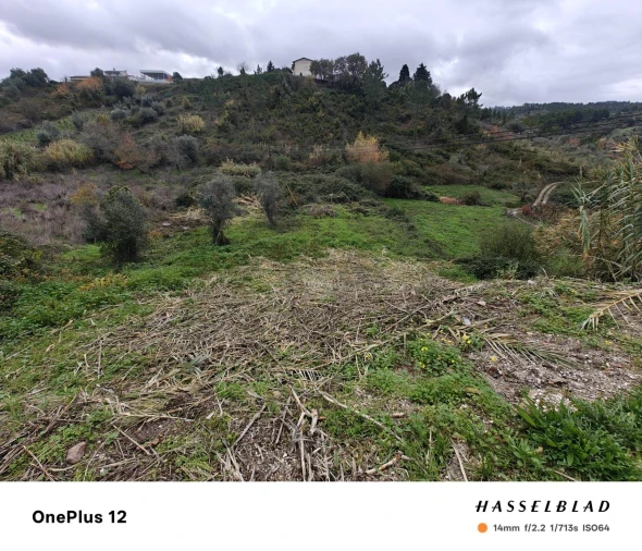 Terreno para Venda em Almalagues Foto 2