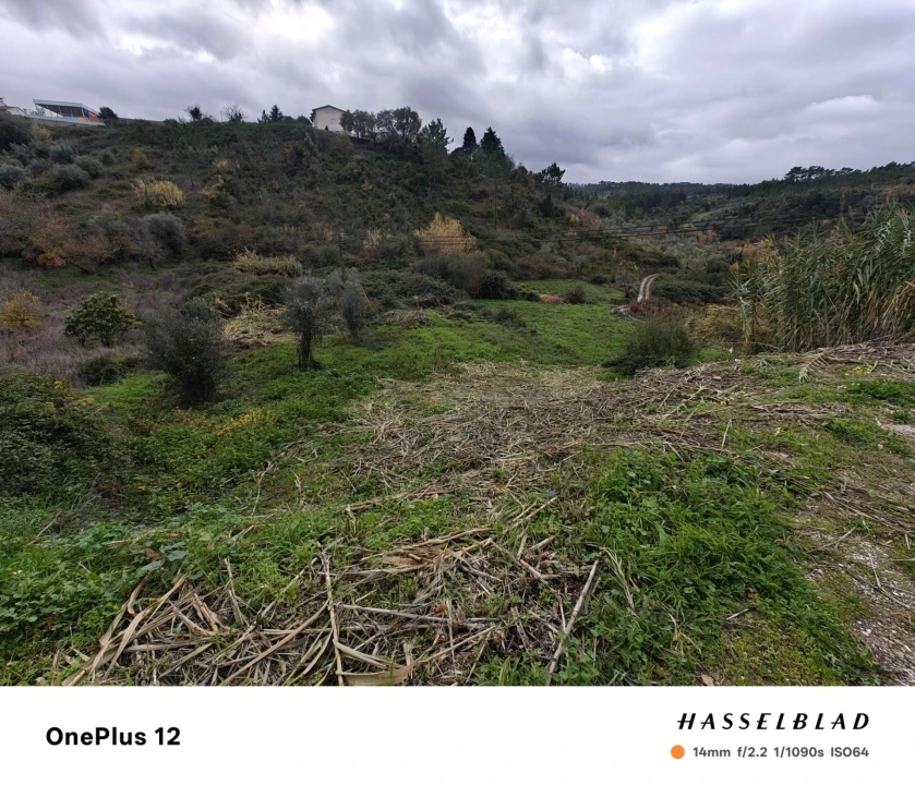 Terreno para Venda em Almalagues Foto 4