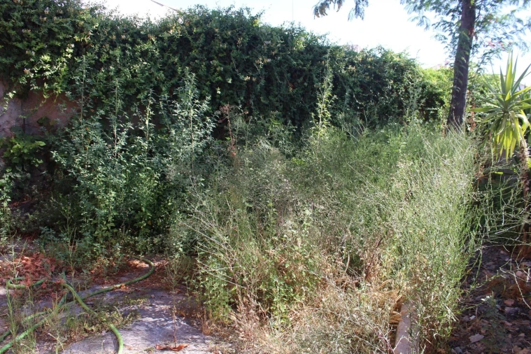 Moradia T2 para Venda em Amareleja Foto 17