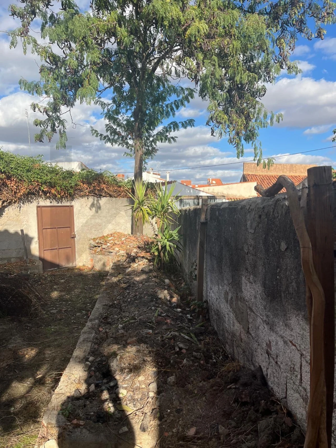 Moradia T2 para Venda em Amareleja Foto 25