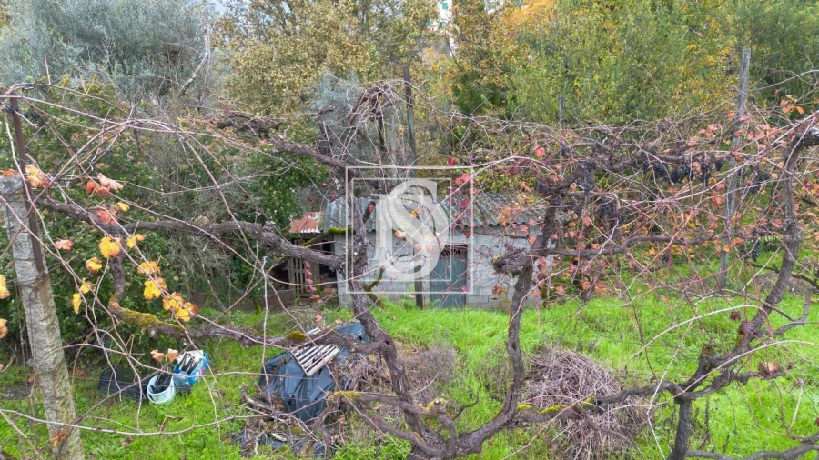 Moradia T3 para Venda em Vila Chã do Marão Foto 49