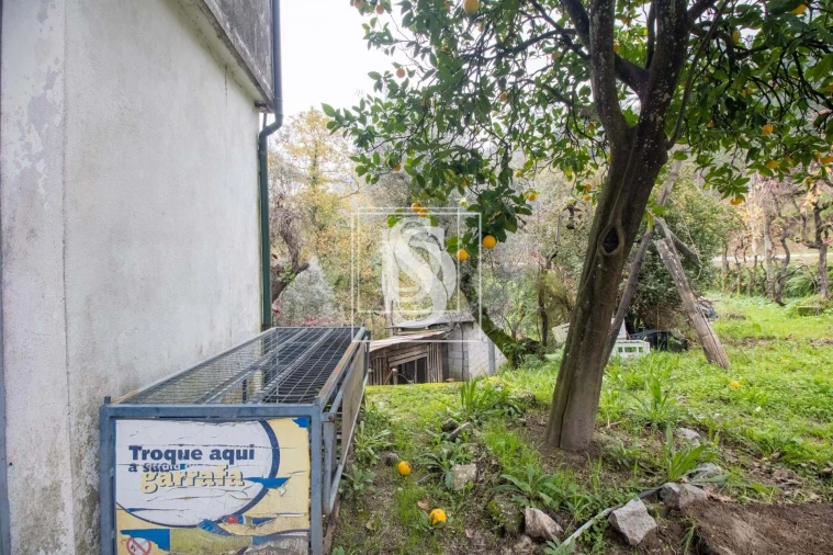 Moradia T3 para Venda em Vila Chã do Marão Foto 48