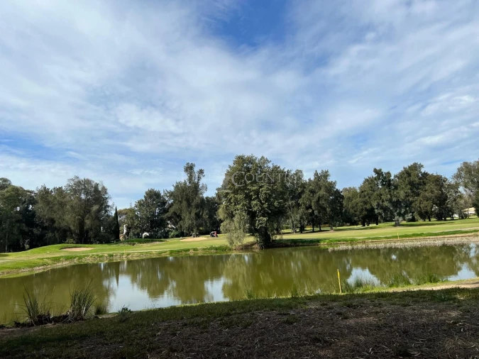 Terreno para Venda em Alvor Foto 3