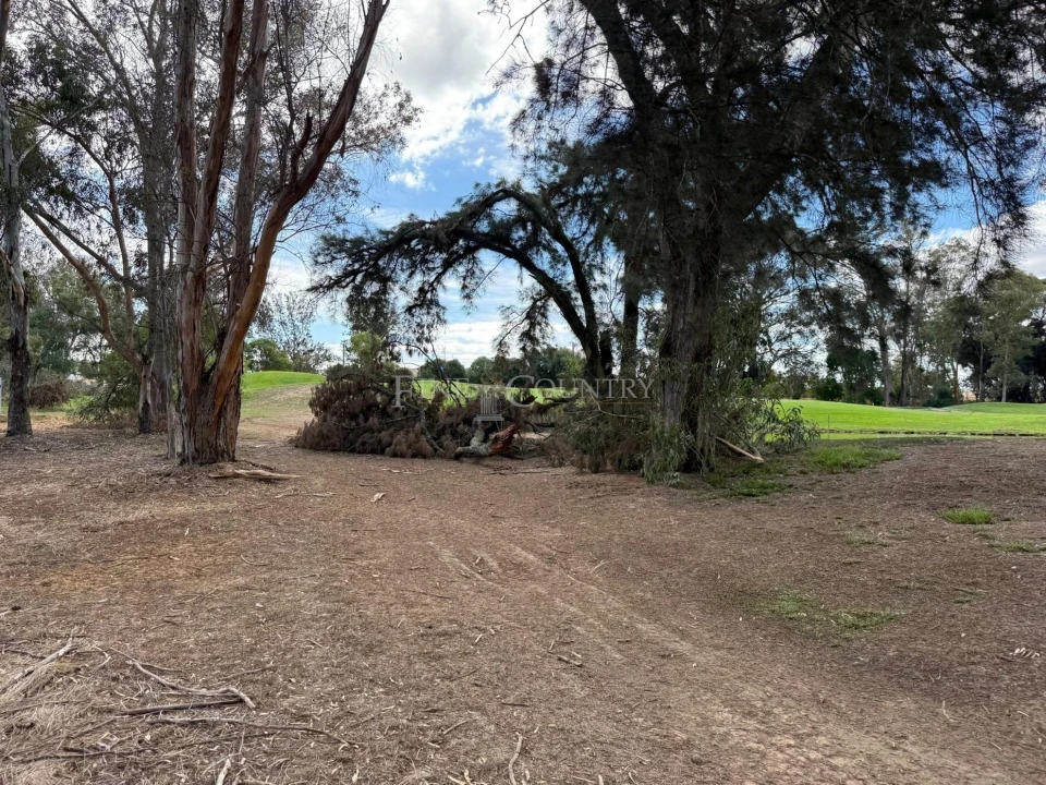 Terreno para Venda em Alvor Foto 2
