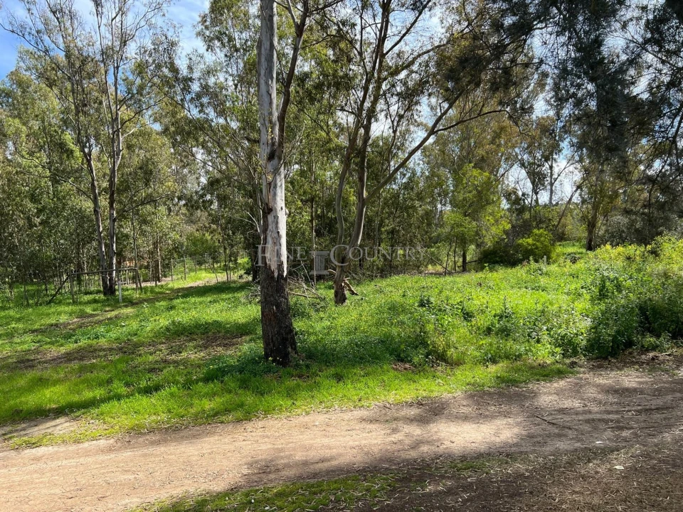 Terreno para Venda em Alvor Foto 6