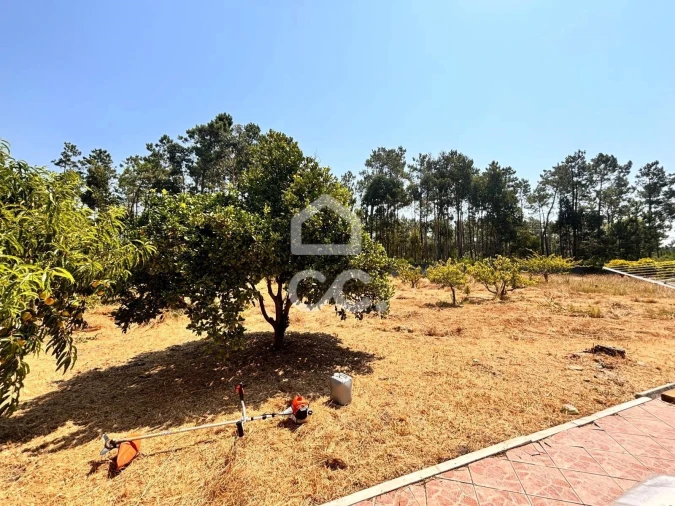 Moradia T3 para Venda em Coimbrão Foto 42