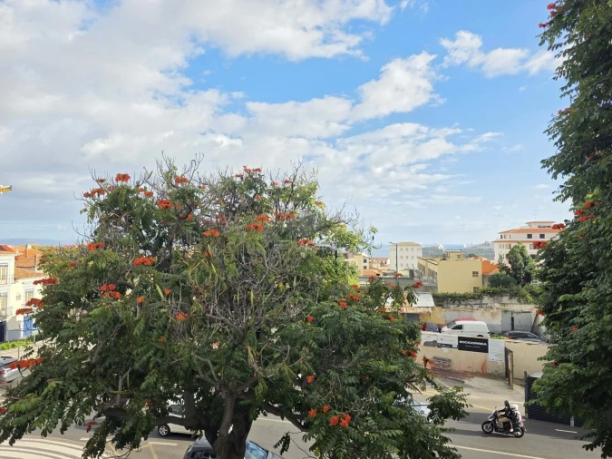 Prédio para Venda em Funchal (São Pedro) Foto 11