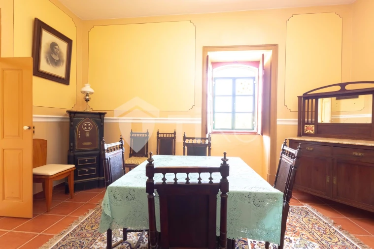 Moradia T10 para Venda em São Miguel do Pinheiro, São Pedro de Solis, São Sebastião dos Carros Foto 14