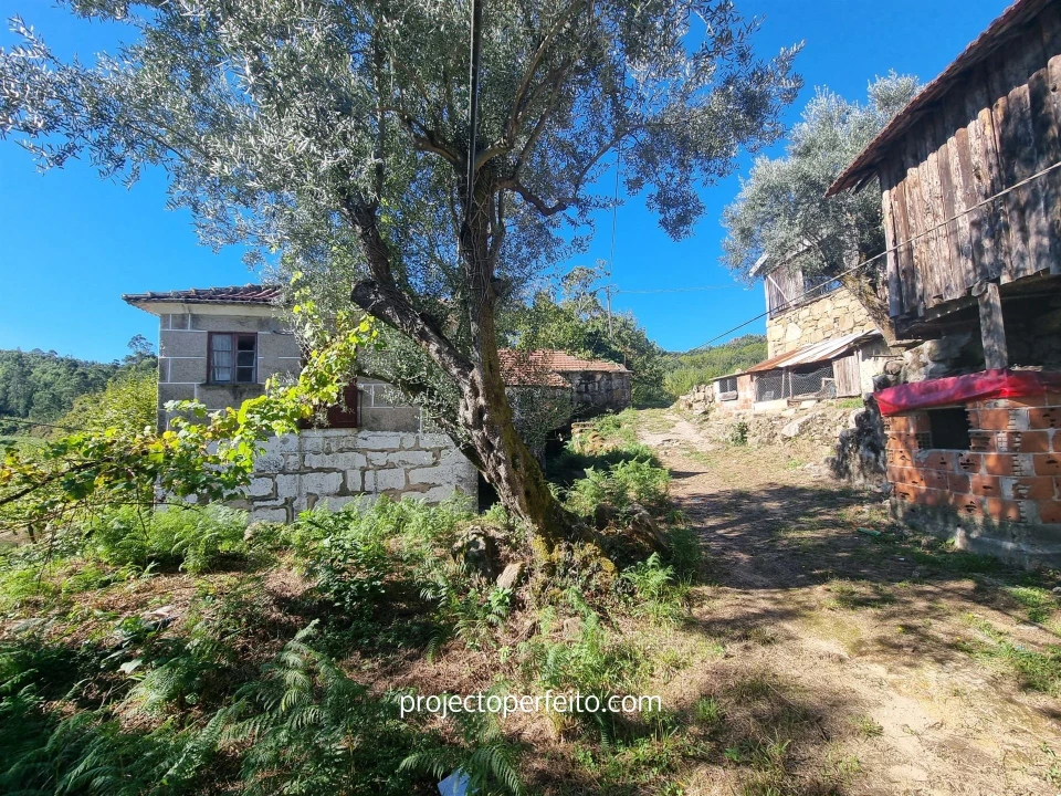 Quinta T0 para Venda em Arnoia Foto 6