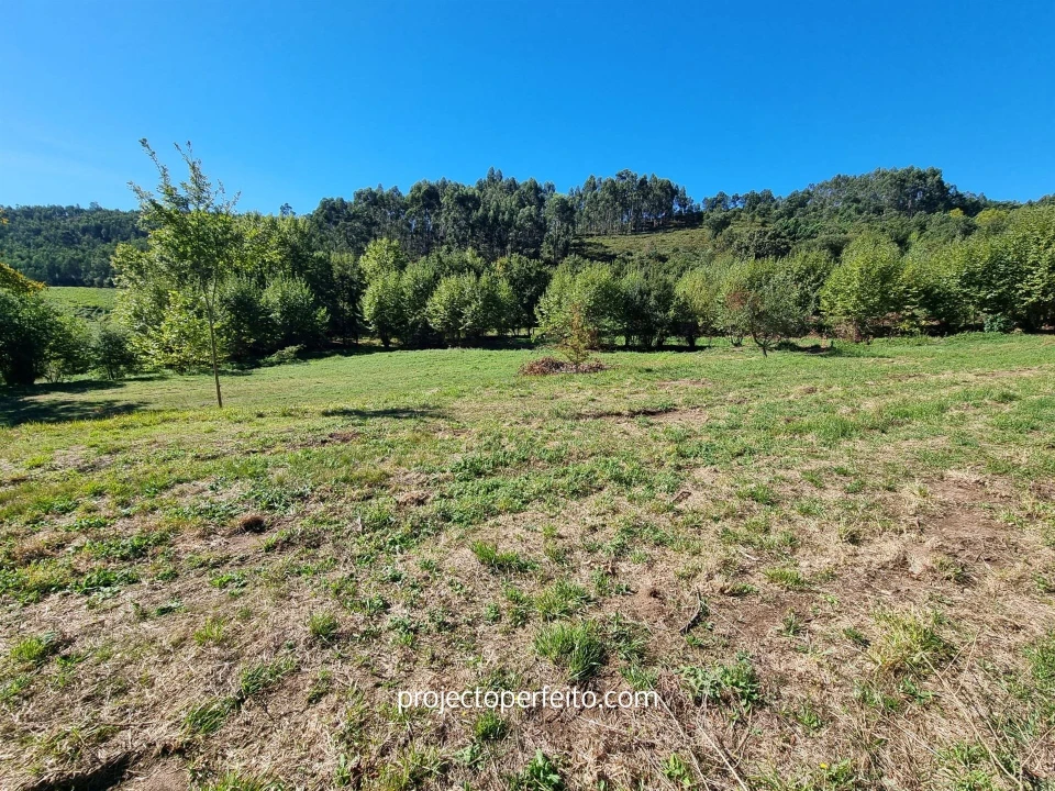 Quinta T0 para Venda em Arnoia Foto 18