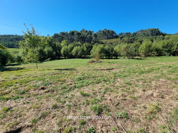 Quinta T0 para Venda em Arnoia Foto 18