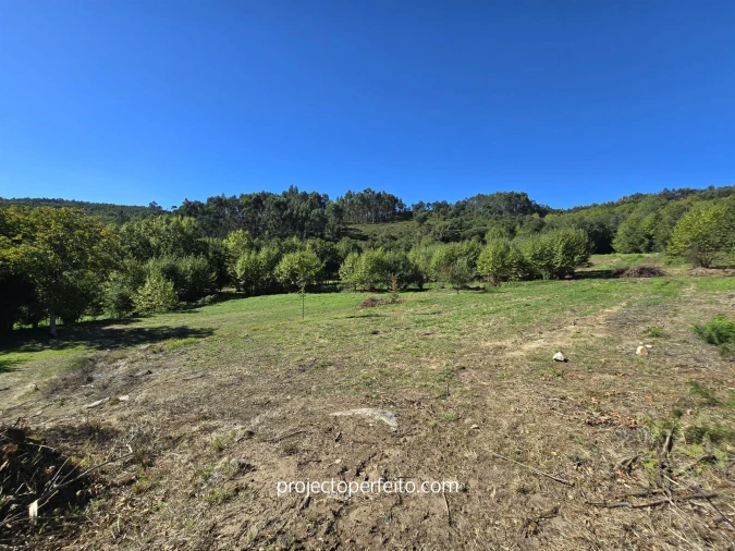 Quinta T0 para Venda em Arnoia Foto 27