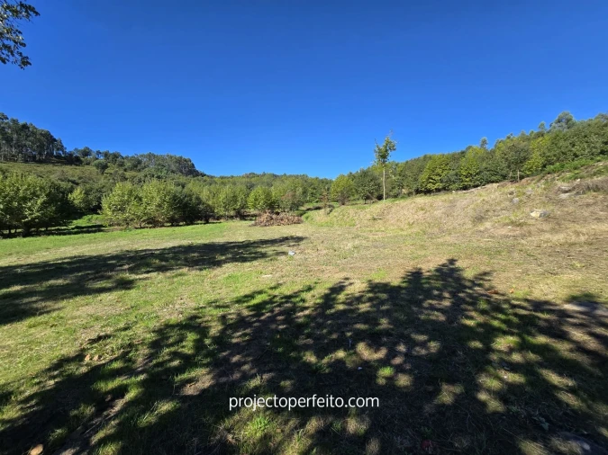 Quinta T0 para Venda em Arnoia Foto 14